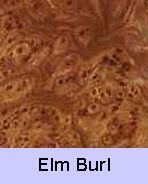Elm Burl